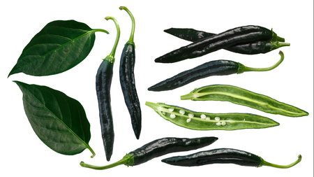 Pasilla Bajio or Chilaca Chile Peppers (Capsicum annuum), green.の写真素材