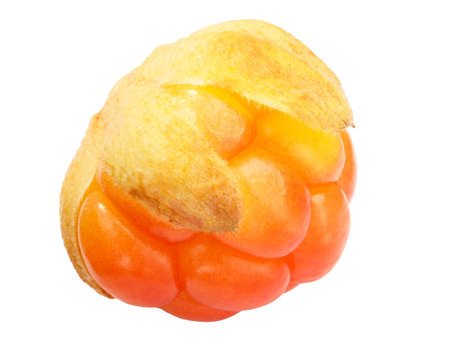 Single cloudberry (Rubus chamaemorus fruit), shadowless