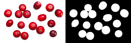 Cranberries (fruits of Vaccinium oxycoccus), top view.の写真素材