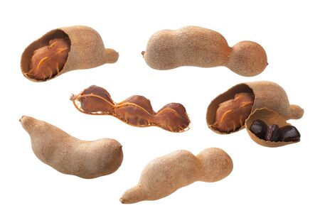 Tamarind pods (Tamarindus indica fruits): whole, cracked, seeds and pulp, isolatedの写真素材