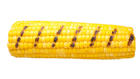 Grilled corn cob or maize ear, isolated
