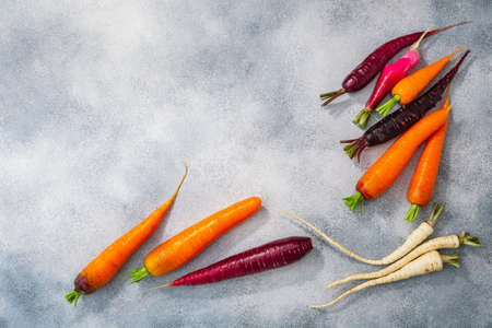 Carrots, parsnip and radish on grey washed concrete backdrop, top view. Root vegetablesの写真素材