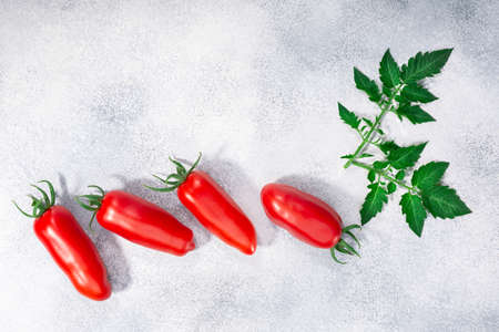 Red finger tomatoes on grey textured backdrop, copy space, top viewの写真素材