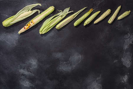 Baby immature corn cobs (Zea mays) atop black textured backdrop, top view, copy spaceの写真素材