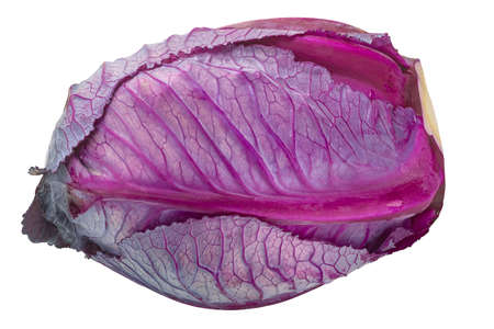 Red cabbage, anthocyanin-rich leafy vegetable (Brassica oleracea) isolatedの写真素材