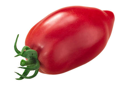 Plumelike heirloom tomato (Solanum lycopersicum fruit), Korean elongated or Koreiskiy prodolgovaty variety, isolatedの写真素材