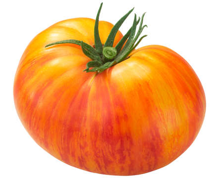 Marzipan Gold heirloom tomato, yellow w red streaks (Solanum lycopersicum fruit), isolatedの写真素材