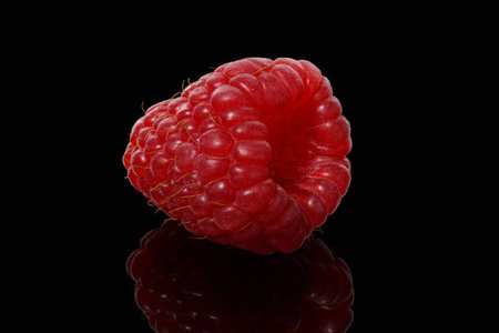 One berry of raspberries on a black background, close-upの写真素材