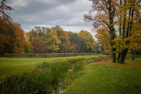 Foggy allees in the park of Ludwigslustの写真素材