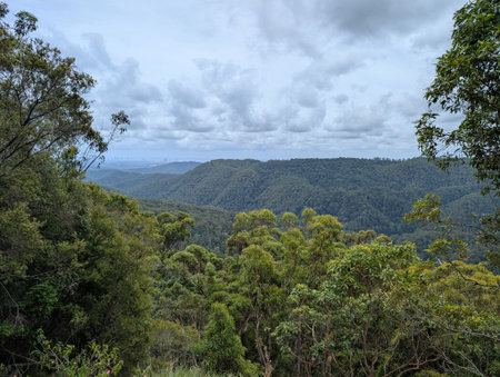 Skyline Beyond Green Mountain Forest