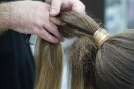 Work in a hairdressing salon. High tail. Measurement with fingers by hairdresser before start.の写真素材