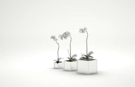 Vase with flower 3d on a white background.の写真素材