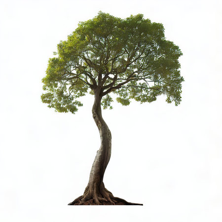 Tree isolated on white background. 3d rendering, 3d illustration.の素材
