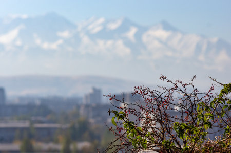 A mountain city viewの写真素材