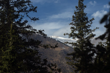 Ala-Archa river wooded mountain gorge
