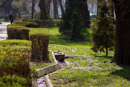 Spring stream in a parkの写真素材
