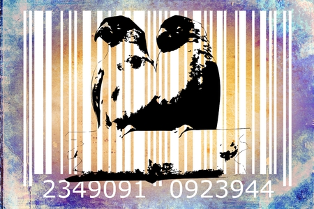 barcode animal design art ideaの写真素材