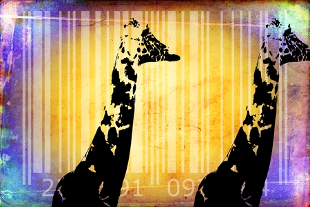 barcode animal design art ideaの写真素材