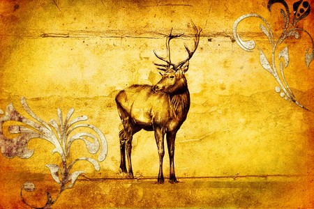 antique stag art drawing handmade natureの写真素材