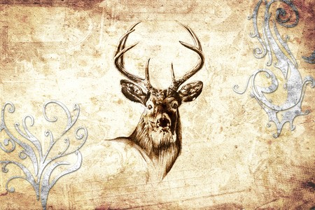 antique stag art drawing handmade natureの写真素材