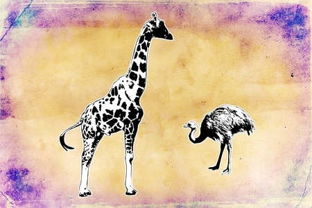 Animal wild vintage retro illustrationの写真素材