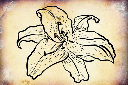 Vintage background with art illustration flowerの写真素材