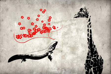 mural art design fun idea wallの写真素材