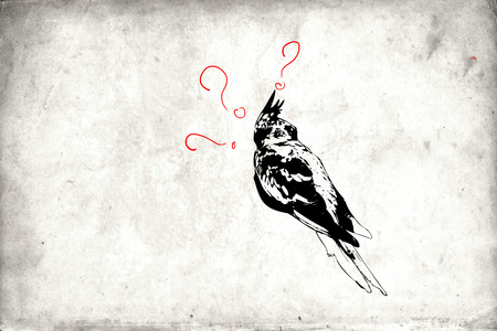 mural art design fun idea wallの写真素材