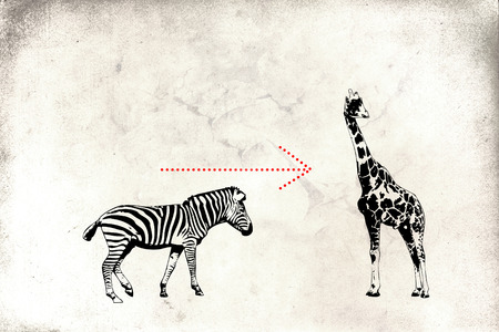 mural art design fun idea wallの写真素材