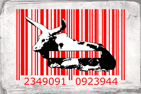 mural art design fun idea wallの写真素材