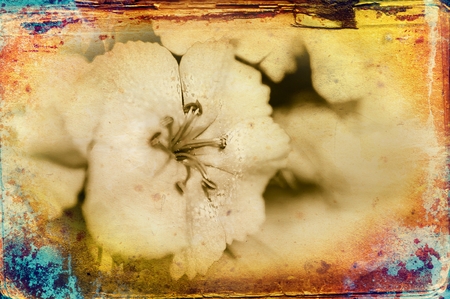 Vintage flower art illustrationの写真素材