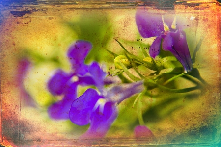 Vintage flower art illustrationの写真素材