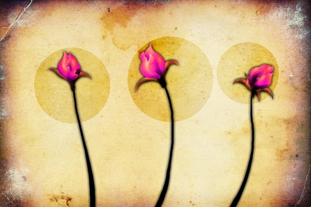 Vintage flower art illustrationの写真素材