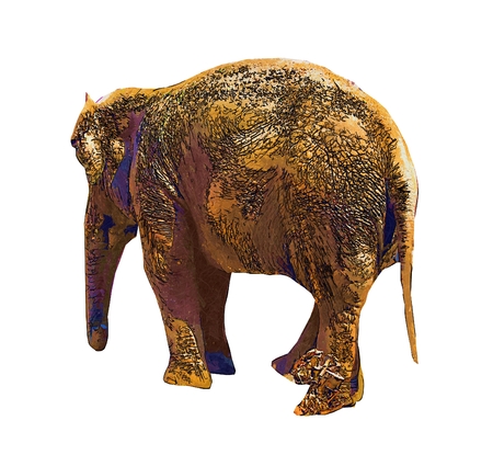 Elephant isolated on white backgroundの写真素材