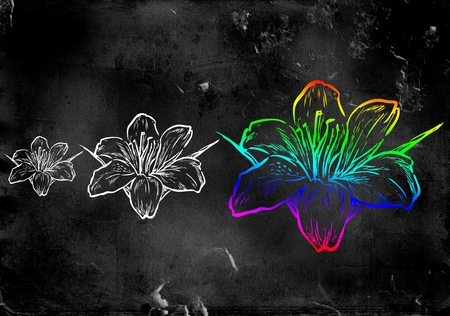 flower illustration on different backgroundの写真素材