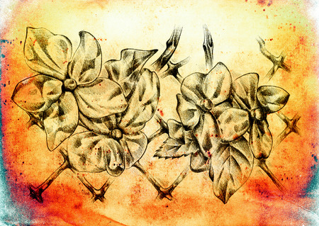 Vintage background with art illustration flowerの写真素材