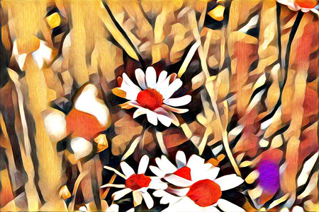 abstraction flower art illustrationの写真素材