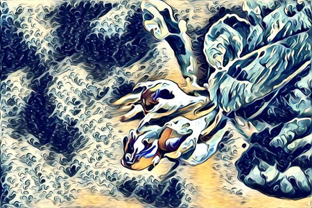 abstraction flower art illustrationの写真素材