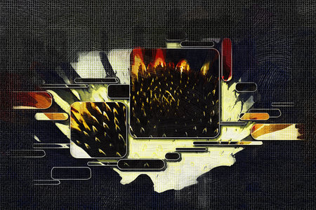 abstract color design art illustration