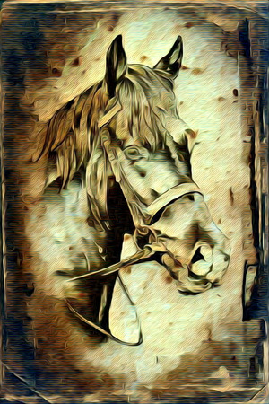 Freehand illustration horse paintingの写真素材