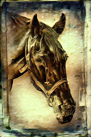 Freehand illustration horse paintingの写真素材
