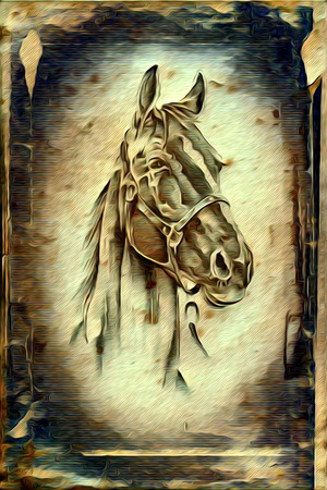 Freehand illustration horse paintingの写真素材