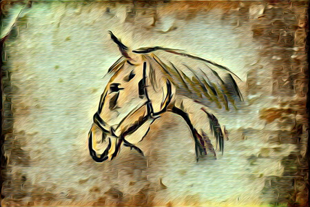 Freehand illustration horse paintingの写真素材