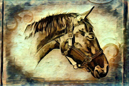 Freehand illustration horse paintingの写真素材