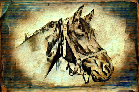 Freehand illustration horse paintingの写真素材