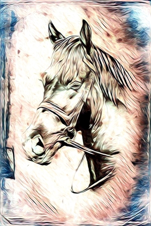 Freehand illustration horse paintingの写真素材