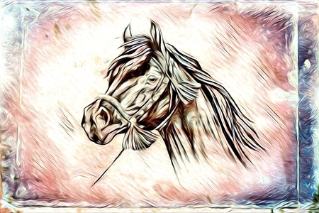 Freehand illustration horse paintingの写真素材