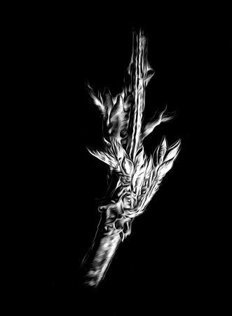 Flower drawing art illustration negative blackの写真素材