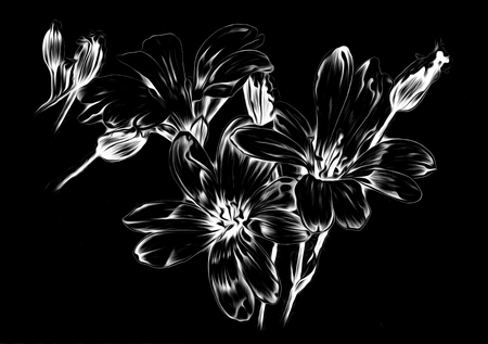 Flower drawing art illustration negative blackの写真素材