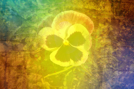 Vintage background with art illustration flowerの写真素材